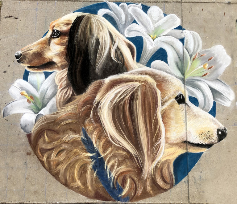 Chalk drawing dedicated to the life and love of Maxwell. RIP sweet dog.