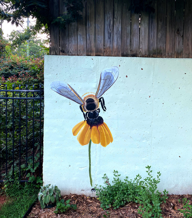 Painted bee hovering over a single black-eyed Susan on a garden wall beside a gate